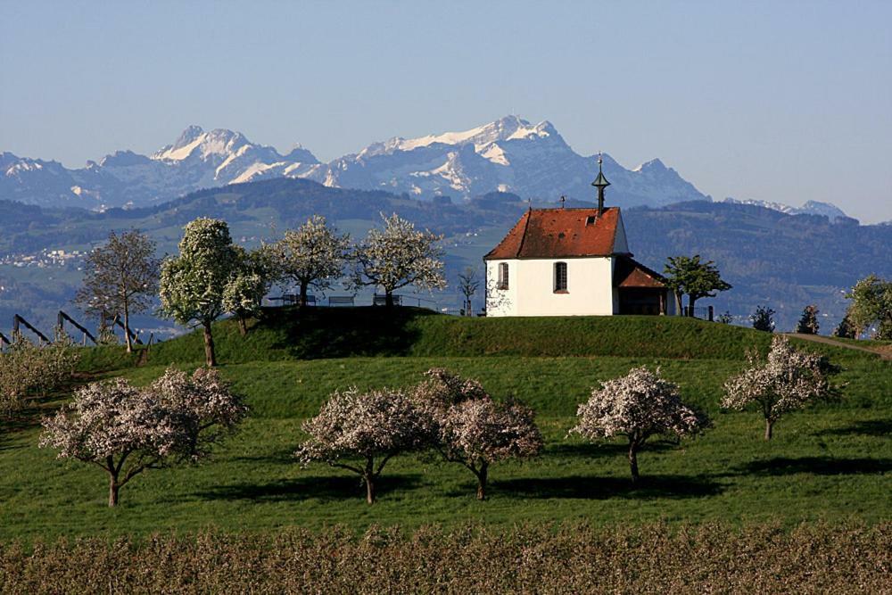 Zum Seglerhafen - Ferienappartement Kressbronn am Bodensee Extérieur photo